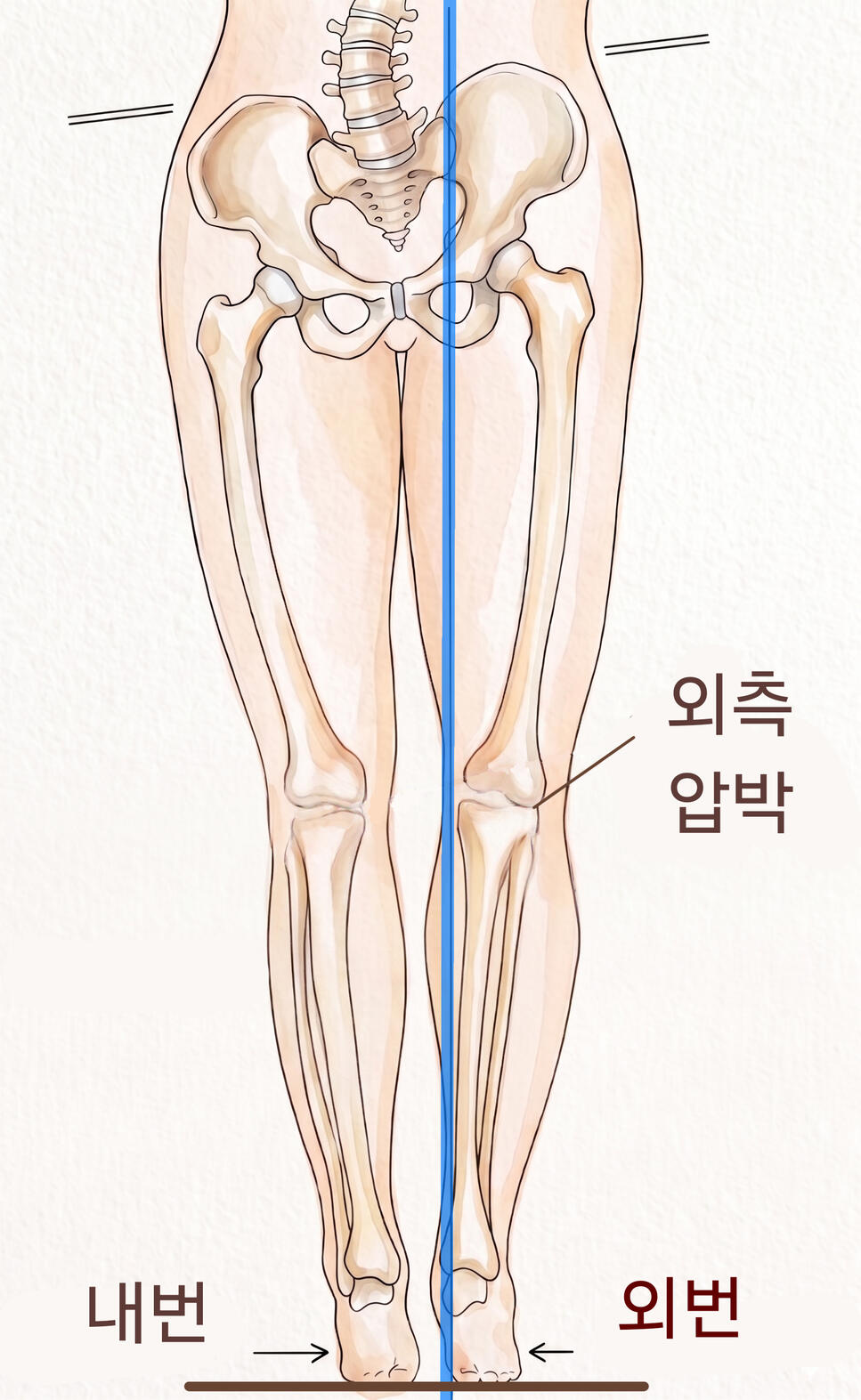 두개추나